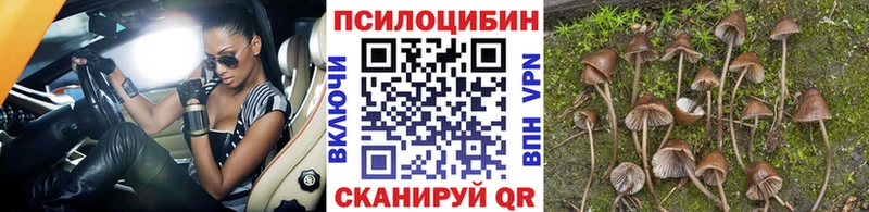 Галлюциногенные грибы GOLDEN TEACHER  Купить где  Волоколамск 
